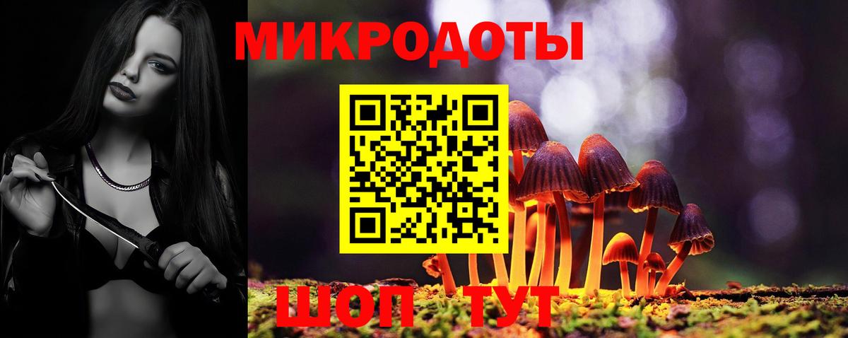 Псилоцибиновые грибы Psilocybe  Вход с VPN  как найти   Кольчугино  Псилоцибиновые грибы мухоморы 